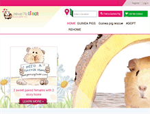 Tablet Screenshot of guineapigfinder.com